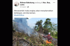 12 Wilayah di Kabupaten...
