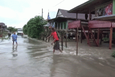 Warga Terdampak Banjir...