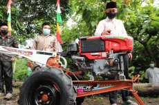 Dibantu Ternak dan Alsintan,...