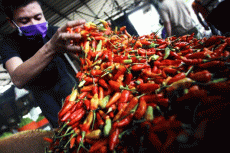 Harga Cabai Rawit Berangsur...