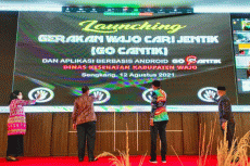 Dinas Kesehatan Wajo...