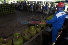 Melonjak 30,5%, Subsidi...