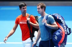 Murray Sebut Kasus Djokovic...