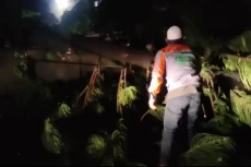 Hujan Angin di Tangsel,...