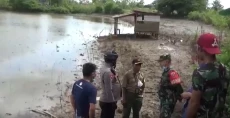 Penampakan Buaya 5 Meter...