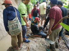 2 Bocah di Lampung Barat...