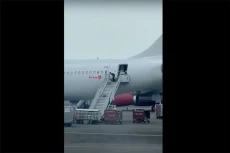 Viral! Beredar Video...