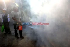 Kasus DBD Meningkat,...
