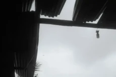 Angin Kencang Rusak...