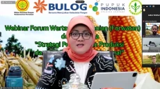 Tak Hanya Padi, Kini...
