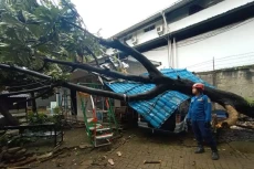 Bogor Dilanda Hujan...