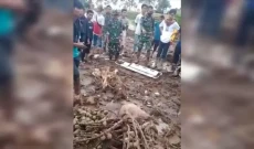 Gempa Terkini Pasaman...