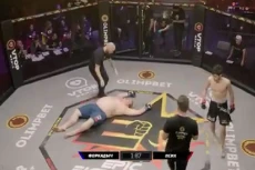 Gila, Raksasa MMA 171...