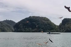Wisata Mewah dengan...