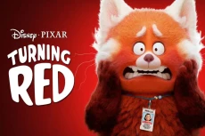 Review Film Turning...
