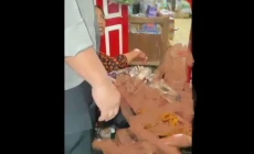 Perampokan Sadis, Wanita...