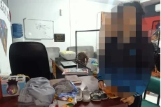 Curi Emas Majikan, Pembantu...