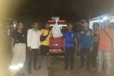Meresahkan Warga, Sarang...