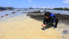 Ricuh Demo Limbah Pantai...