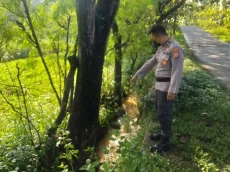 Pulang Antar Ayah ke...