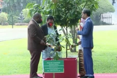 Jokowi dan PM Papua...