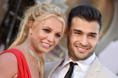 Britney Spears Hamil...