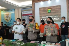 Tanam Ratusan Pohon...