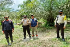 Harimau Berkeliaran,...