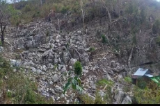 Hutan Bowosie Dirambah...