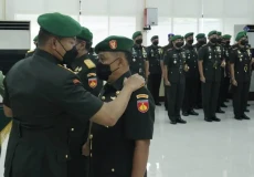 Sosok Brigjen TNI Puji...