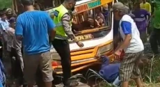 Sepur Kelinci Angkut...