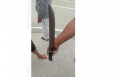 Pria Bersenjata Parang...