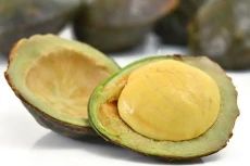 Suka Makan Jengkol?...