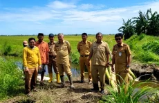Cegah Gagal Panen, Bupati...