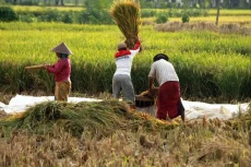 Waspada! Indonesia Terancam...