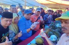 Kontes Durian di Enrekang...