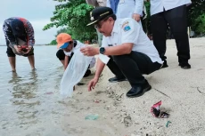 495 Benih Ikan Nemo...