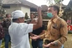 Bule Pemanjat Pohon...