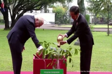 Jokowi Sambut Kunjungan...