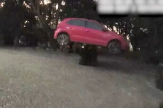 Hendak Dibawa Kabur,...
