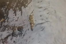 Warga Abadikan Penampakan...