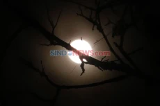 14 Juli Nanti Ada Supermoon,...