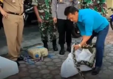 Blitar Gempar, Pria...