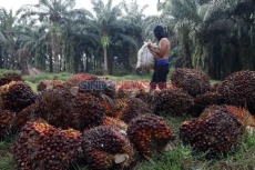 Mendagri Ingatkan Investasi...