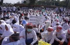 Ribuan Tenaga Honorer...