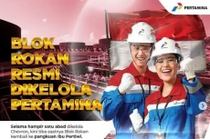 SKK Migas Ungkap Fakta...