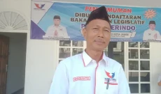 HUT Ke-77 RI, DPD Partai...