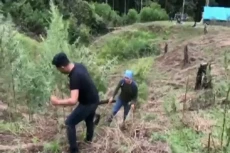 Geger! Polda DIY Temukan...