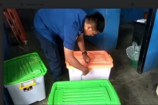 Ngeri! 2 Ekor Sanca...