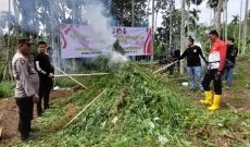 Polda Banten Temukan...